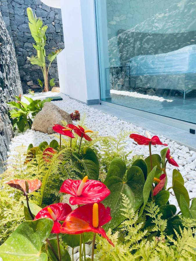 Rocavista - Villa With Heated Rooftop Pool And Amazing Ocean View Costa Adeje  Exterior photo